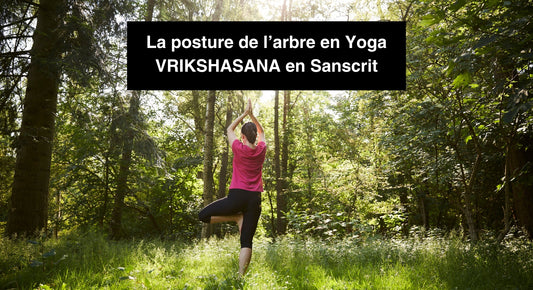 La Posture de l'Arbre en Yoga : Astuces et Bienfaits