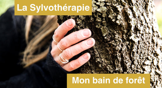 Le bain de forêt, "Shinrin-Yoku" pour les japonais, plus connu sous le nom de la sylvothérapie, est une pratique ancestrale aux nombreuses vertus pour la santé physique et psychique, en stimulant l'éveil de nos 5 sens